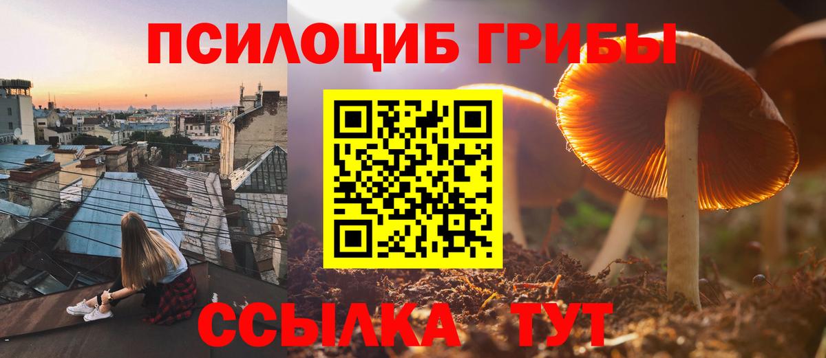 Псилоцибиновые грибы мицелий Санкт-Петербург