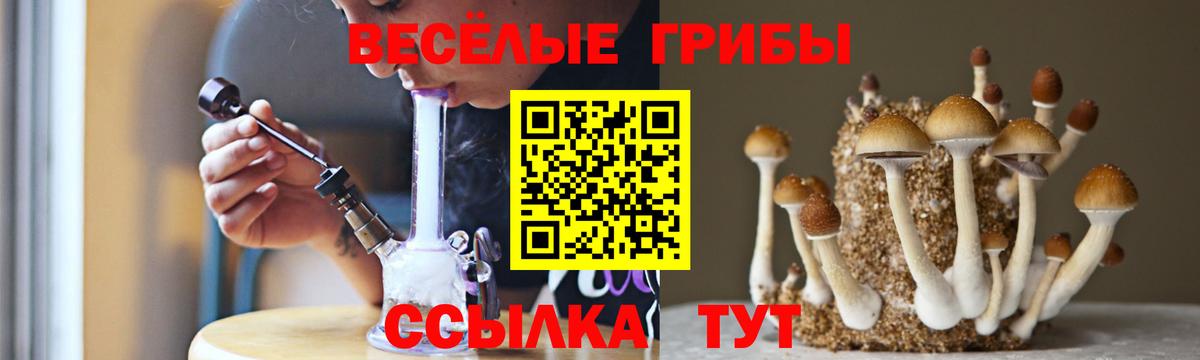Санкт-Петербург  где продают наркотики  Вход с VPN  Галлюциногенные грибы прущие грибы 