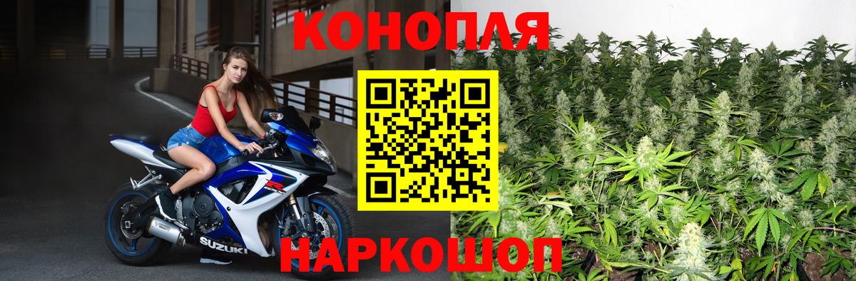 Шишки марихуана планчик  Конопля LSD WEED  Санкт-Петербург  Вход с VPN 