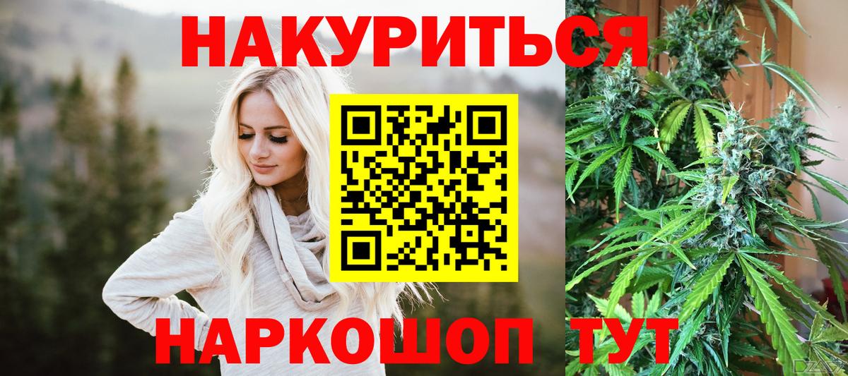 Каннабис OG Kush Санкт-Петербург